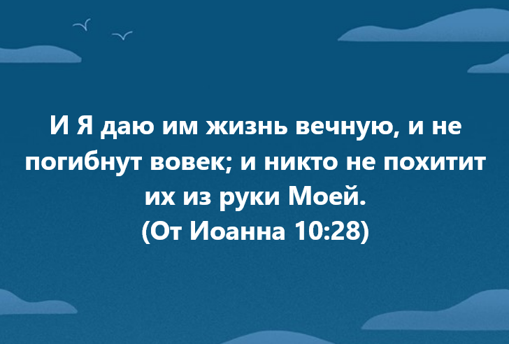 Слово для Свидетелей Иеговы, которые не подчиняются Мне, Богу, создателю неба и земли, а подчиняются человеческой организации